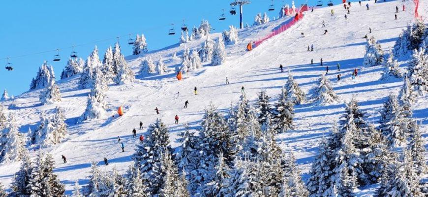 Woodside Woodside Apartments Kopaonik Free Parking & Spa , Free Ski Locker المظهر الخارجي الصورة
