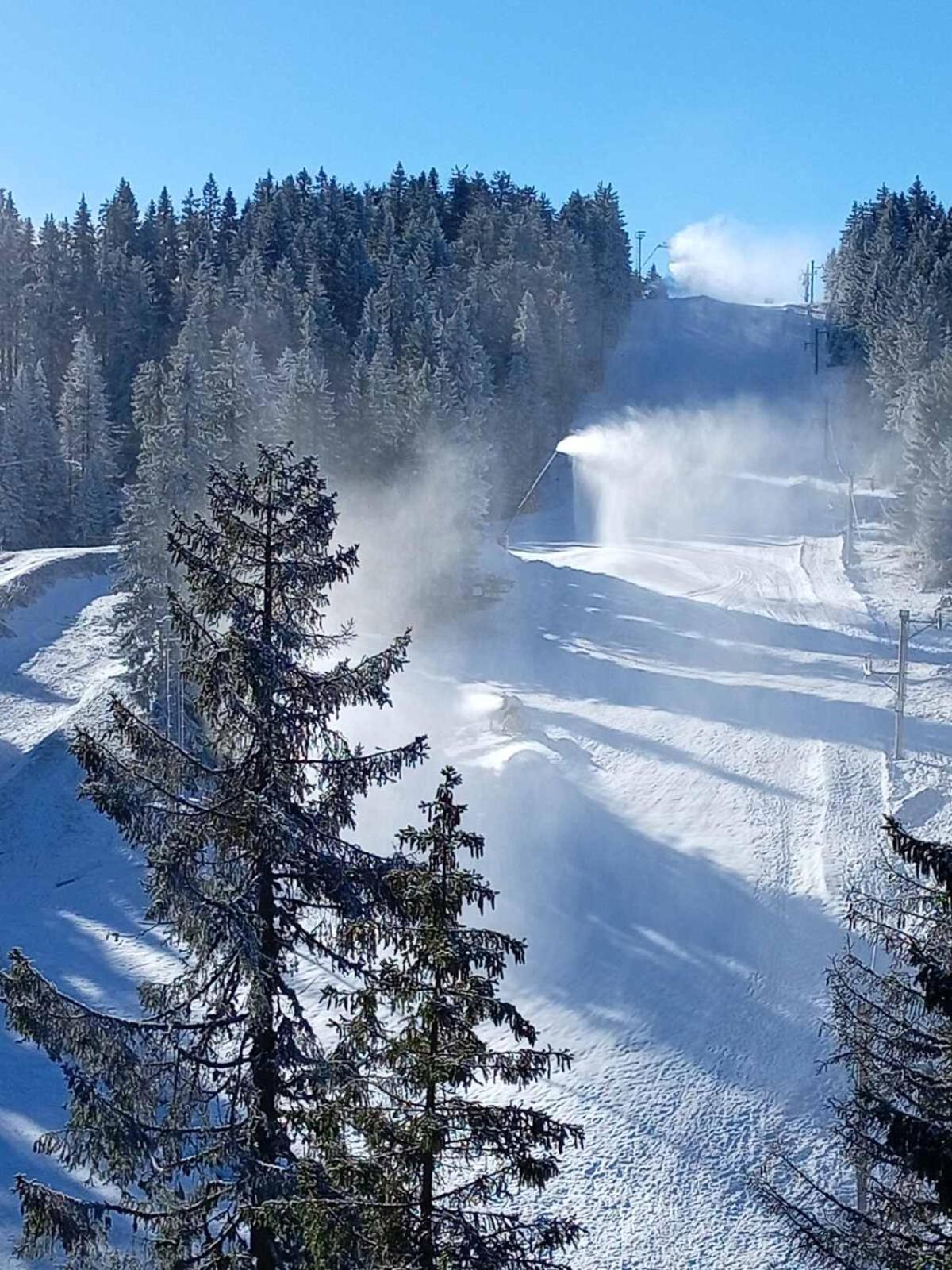 Woodside Woodside Apartments Kopaonik Free Parking & Spa , Free Ski Locker المظهر الخارجي الصورة